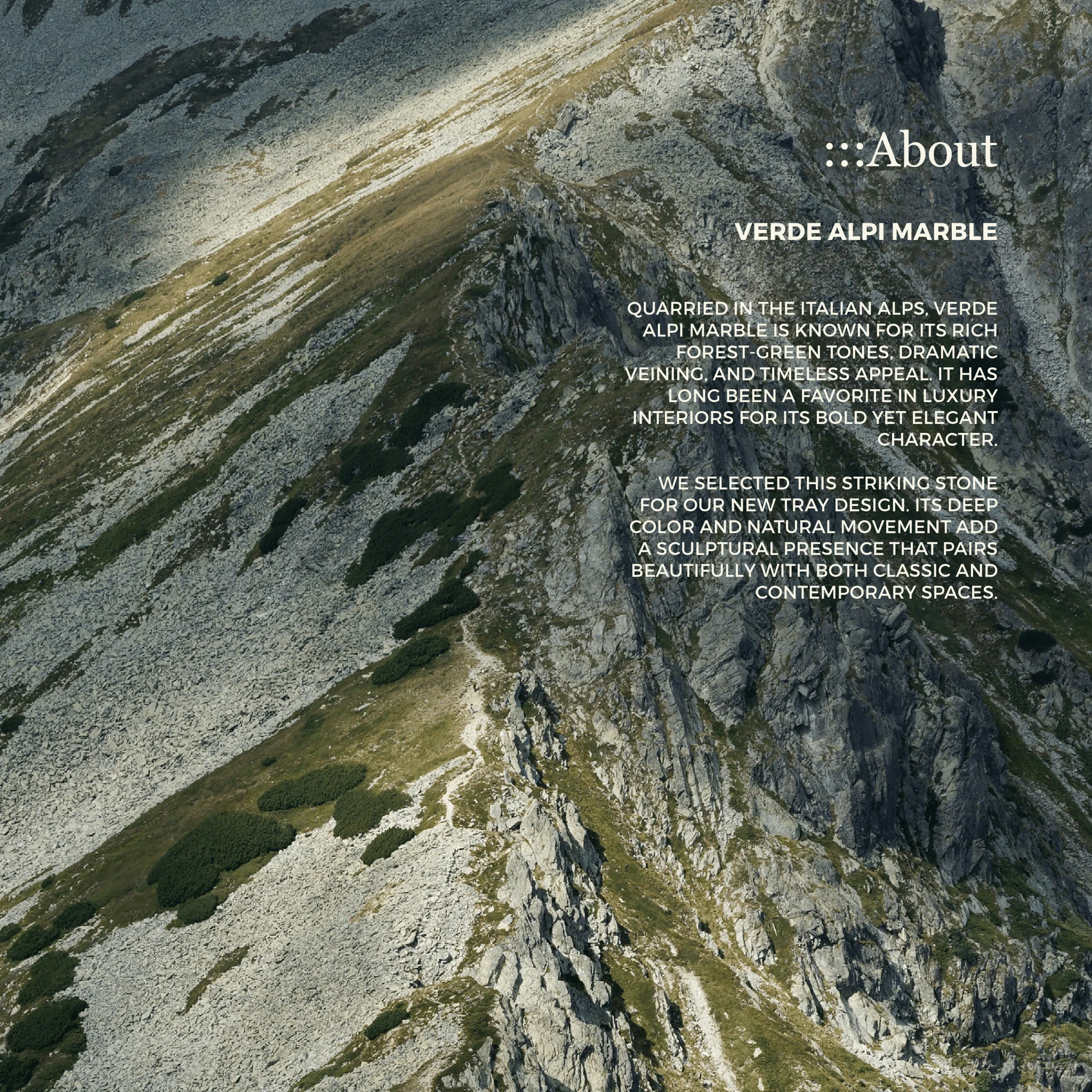 Halo Square Tray - Verde Alpi Marble - Image 6