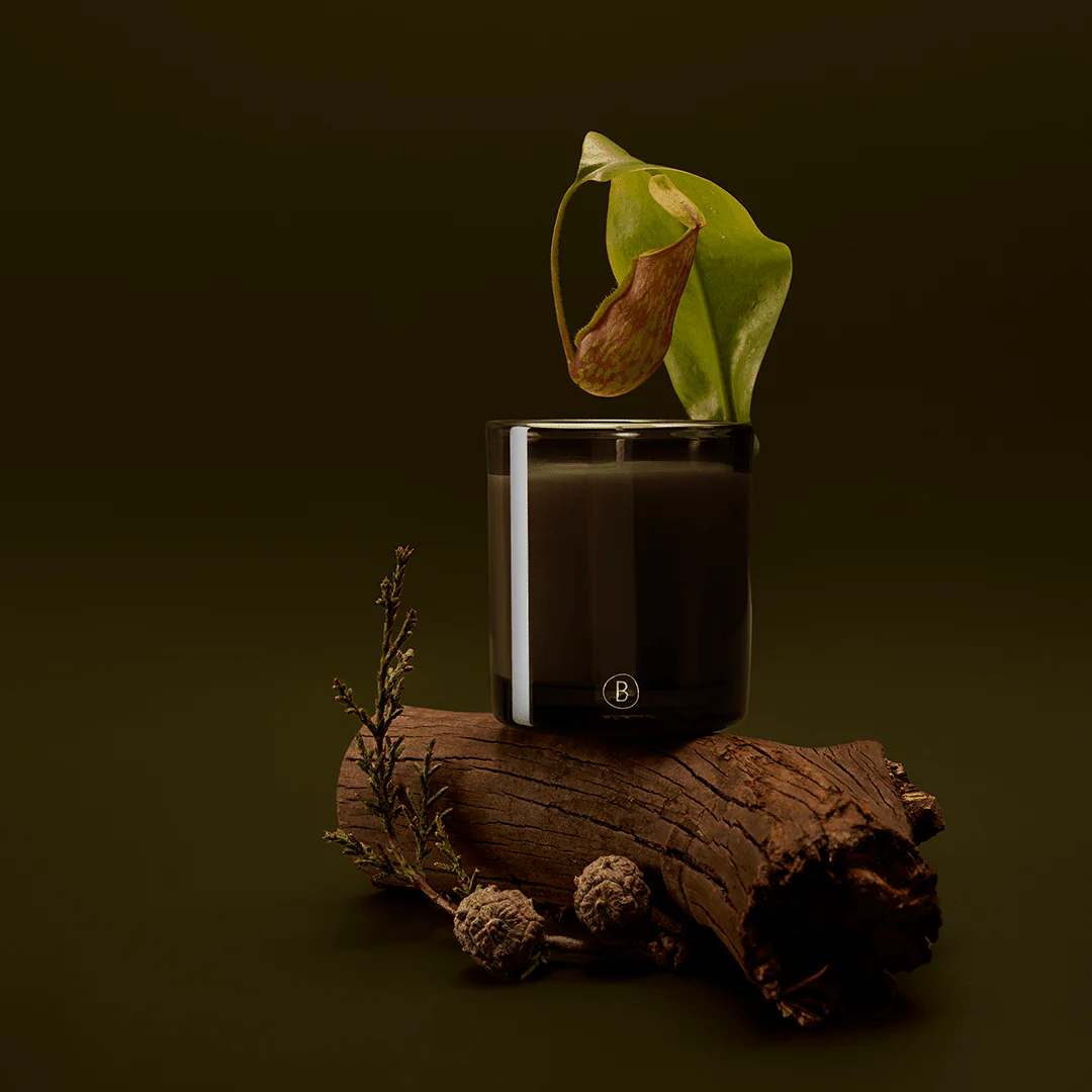 Rainforest Sunlight Scented Candle - Image 4