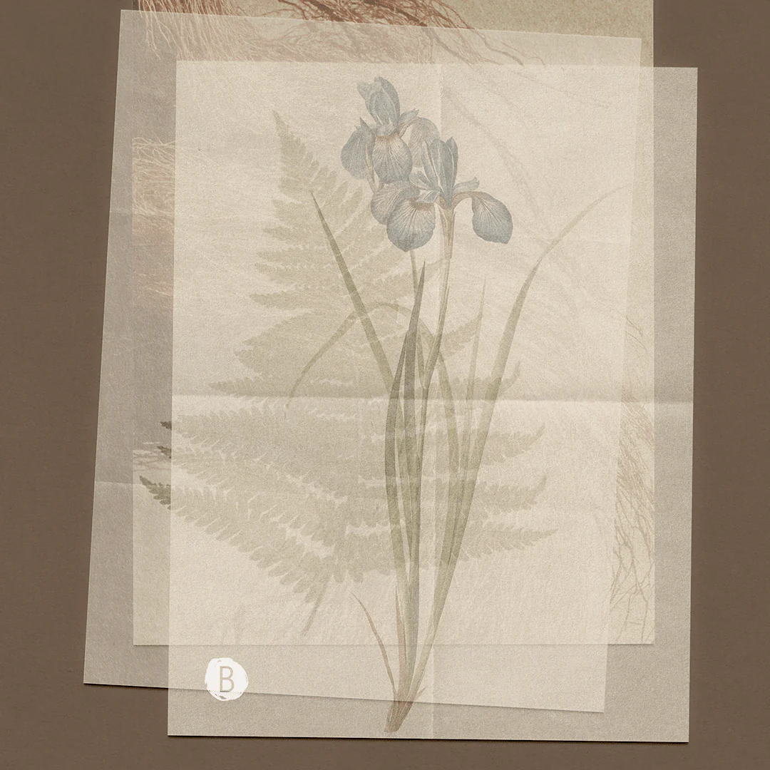 Skinwood Scented Incense - Image 4