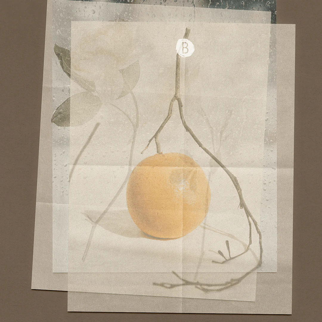 Rainveil Scented Incense - Image 3